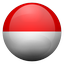 Flaga Indonezji