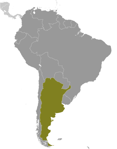 Argentyna mapa