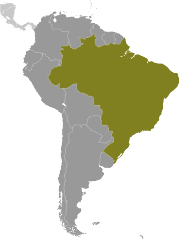 Brazylia mapa
