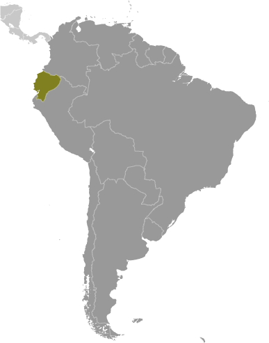 Ekwador mapa