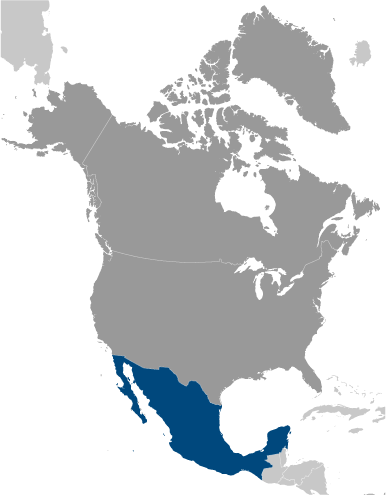 Meksyk mapa