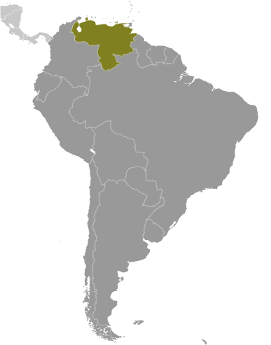 Wenezuela mapa