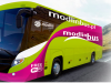 modlin-bus