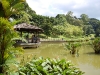 Singapore Botanic Garden singapur