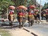 tajlandia slonie